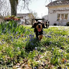 spencer