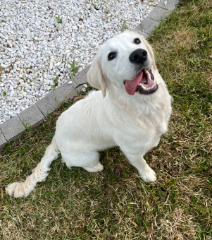 Pablo