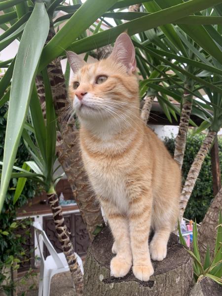 Photo de Ciccio