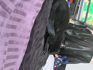 Oméga