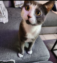 Charly