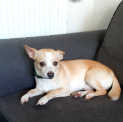 Ralf