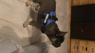 Tayson