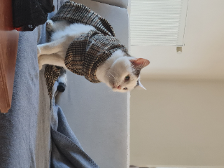 Leonard