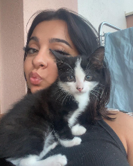 Zeytin