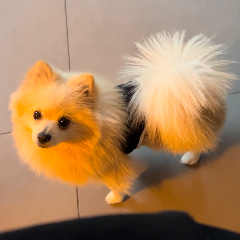 Kooky