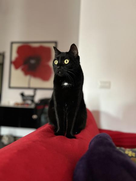 Luna