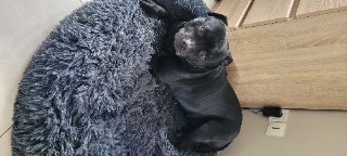 Osko