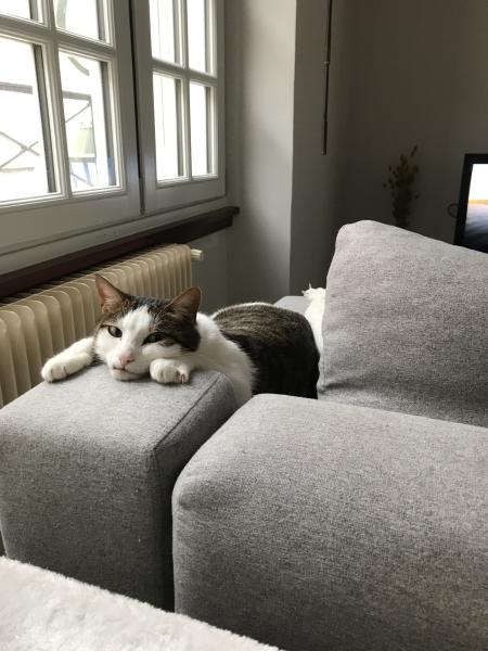 Coco