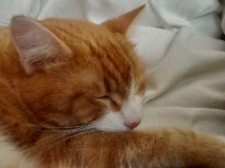Rusty