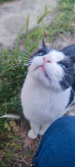 Jack