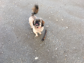 max