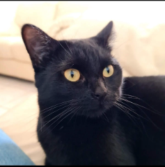 Agatha