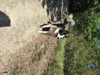Pixel