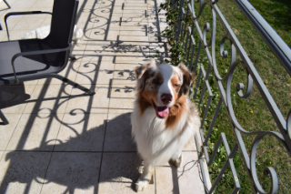 Naboo