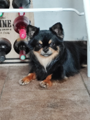 Rosco