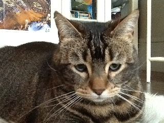 Pixel