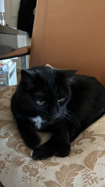 Minnie
