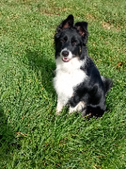 Kiara