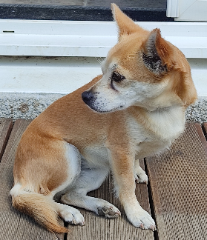 Lilou