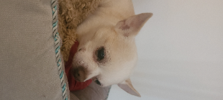 Pablo