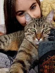 Pippin