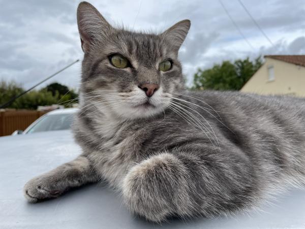 Bébé