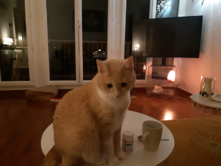 Roméo