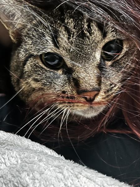 Cleopatra