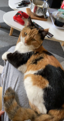 Nala