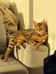 Rio