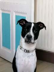 Penelope (Penny)