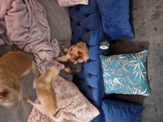 Kikiss