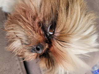 Gaïa