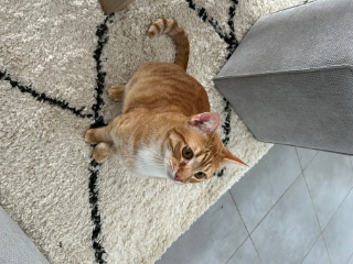 Billy