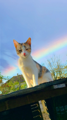 Esma
