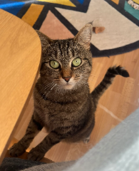 Lilou