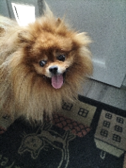 Caramel