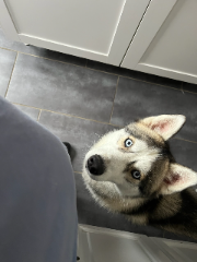 Tyson
