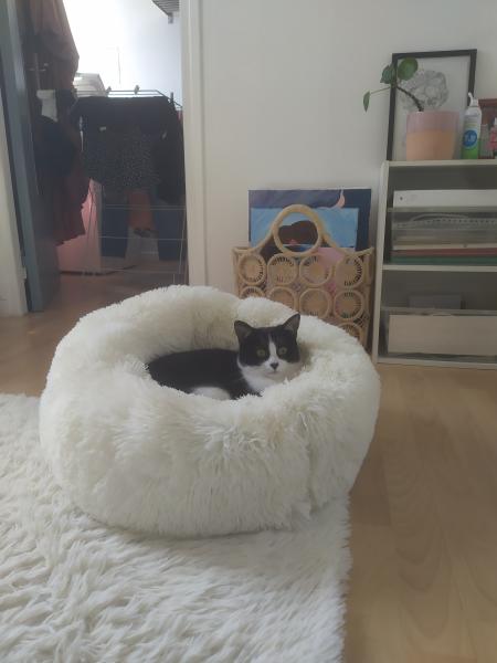 Tiny