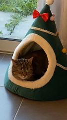 Maïka