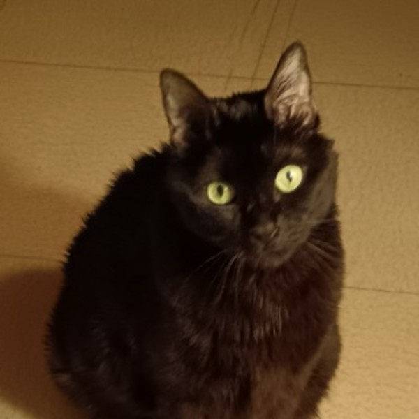 Osiris