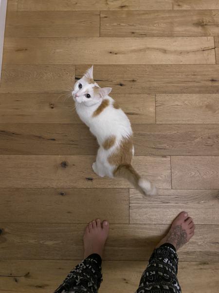 Photo de Willy