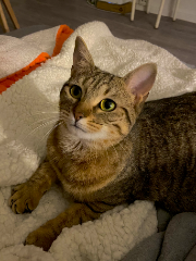 Thelma