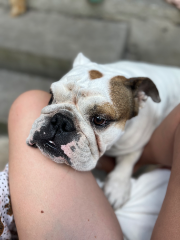 Suzie