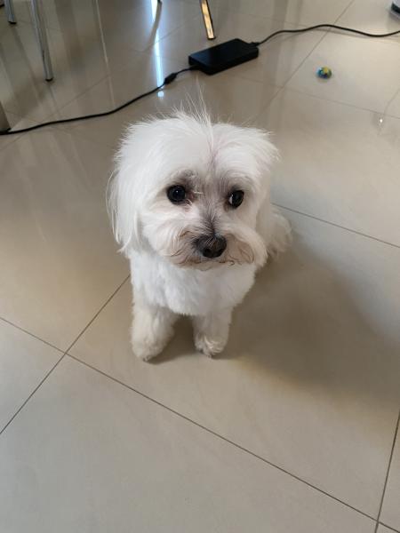 Photo de Billy