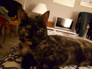 NUBIA