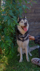 Halinka