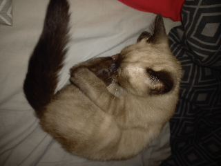 Berlioz