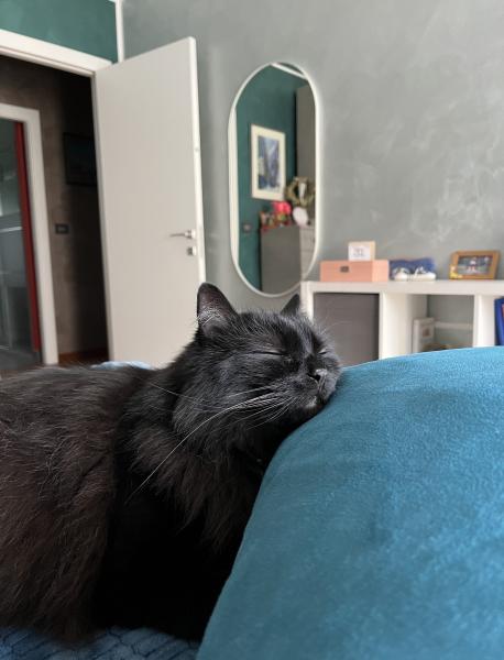 Oscar